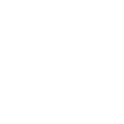 Sho Technology Solutions